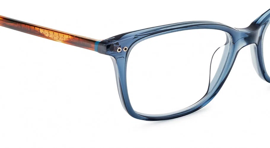 Etnia Barcelona Vintage ROSES Eyeglasses - view 28